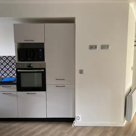 Appartement Cosy Au Coeur De Chambery דירה *