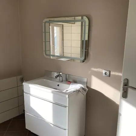 Appartement Cosy Au Coeur De Chambery * שאמברי